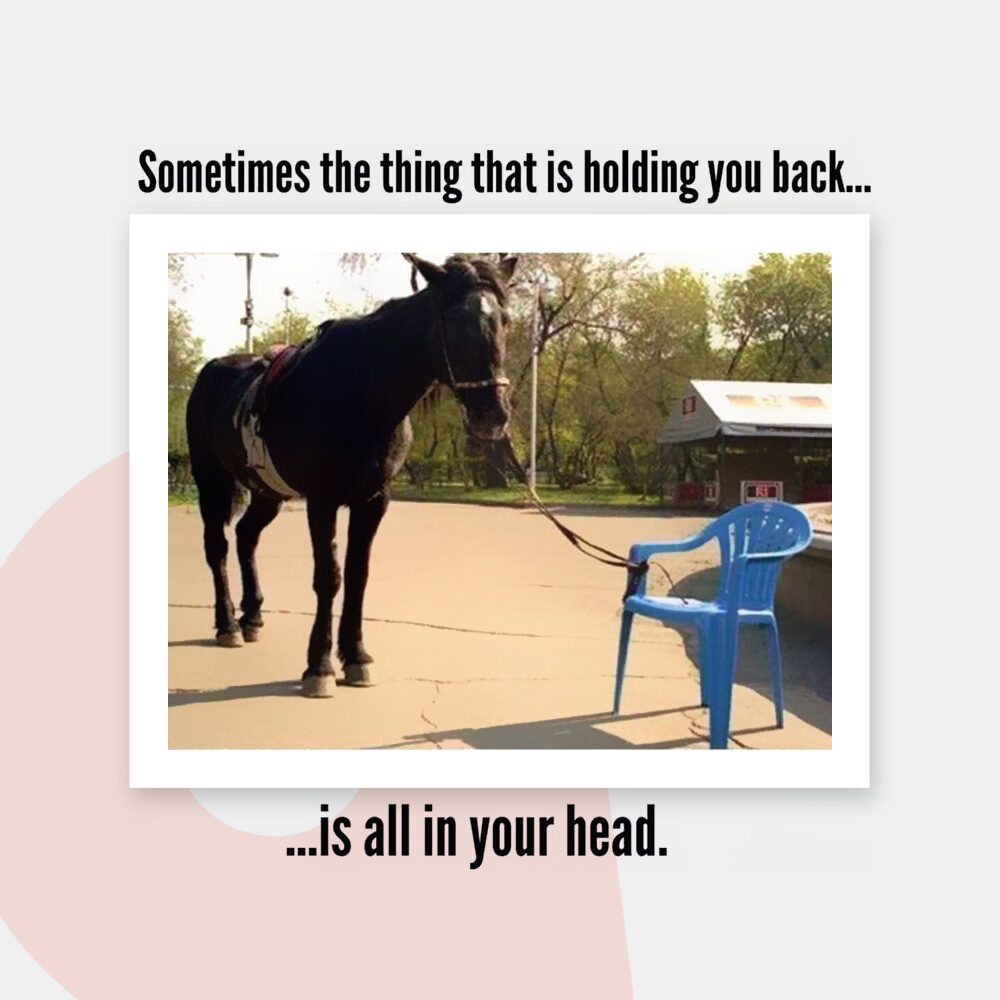 sometimes-the-things-holding-you-back_edit